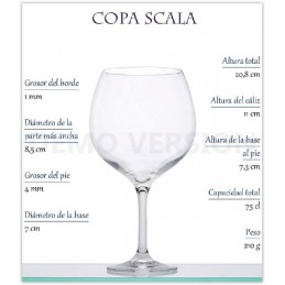 COPA COMBINADO SCALA 75 CL. CAJA 6 UNIDADES